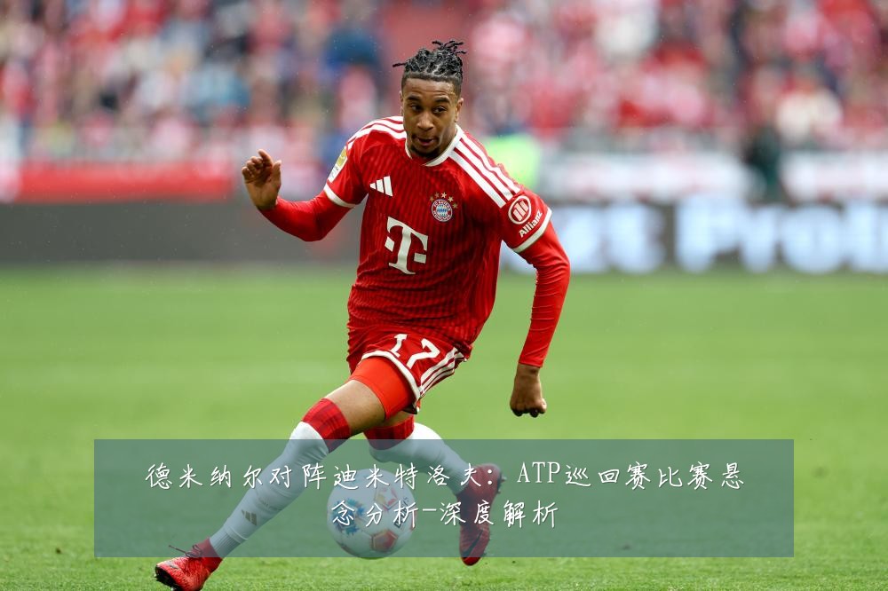 德米纳尔对阵迪米特洛夫:ATP巡回赛比赛悬念分析-深度解析